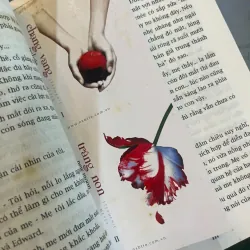 CHẠNG VẠNG, NHẬT THỰC, HỪNG ĐÔNG - TỊNH THỦY dịch 734855