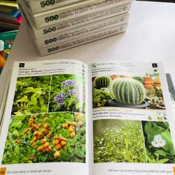 📚 500 LOÀI CÂY THƯỜNG DÙNG TRONG THIẾT KẾ CẢNH QUAN – Đinh Quang Diệp 601883