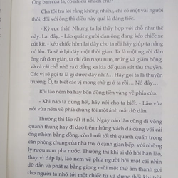 Đảo giấu vàng 334517