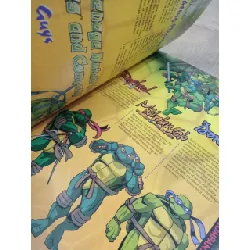 Prima's official strategy guide Teenage Mutant Ninja Turtles
