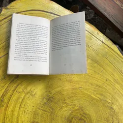 SWITCH- INGRID LAW 596105