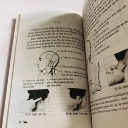 LIỆU PHÁP KINH LẠC VÀ HUYỆT ĐẠO CHĂM SÓC SỨC KHỎE QUA XOA BÓP ĐÈ ẤN HUYỆT  548735