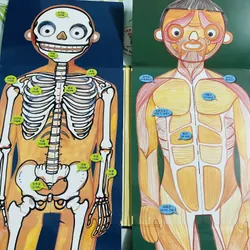 아하! 재미있는 인체학습 – 우리 몸 알기  720355