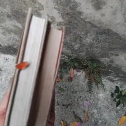 Đất vỡ hoang của Mikhail Solokhov 1031382