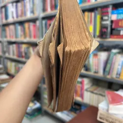 LỜI THÚ NHẬN CỦA TÊN TƯỚNG CAO BỒI  1042376