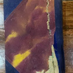 Thân thế và sự nghiệp y học của Hải Thượng Lãn Ông (19) 561026