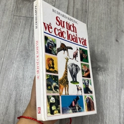 Dự tích về các loài vật. 1b3 539838