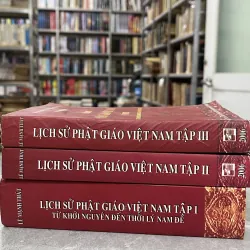 LỊCH SỬ PHẬT GIÁO VIỆT NAM - LÊ MẠNH THÁT 1029498