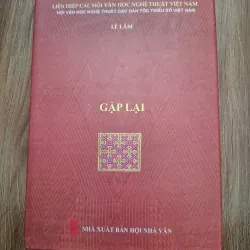 Gặp Lại - Lê Lâm - Văn xuôi