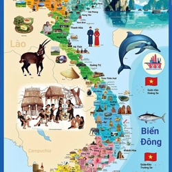 Bộ tranh dán tường bản đồ, lược sử Việt Nam và Thế Giới