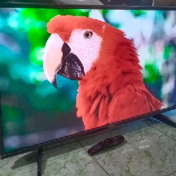 [Tivi Wifi 43" - Độ phân giải 4K - Lướt Youtube Cực nhanh] Thanh lý 9850