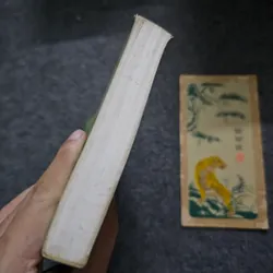 Mât thơ - Đỗ Lai Thúy 733052