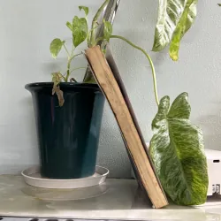 10 nghịch lý cuộc sống 746439