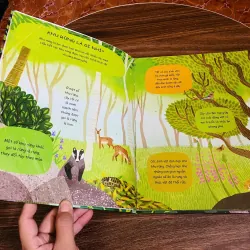 Cuốn Sách Đầu Đời Của Bé - Khám Phá Sinh Vật Rừng - Claire Philip#HATRA 976644