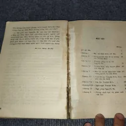 TÌM HIỂU PHONG CÁCH NGUYỄN DU TRONG TRUYỆN KIỀU 992570