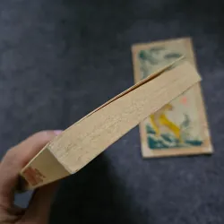 The Gambler - Dostoevsky 746287