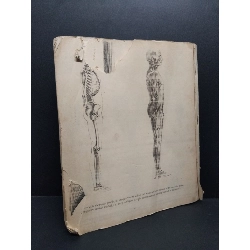 Drawing school mới 60% ố rách sách HCM1008 TẠP CHÍ, THIẾT KẾ, THỜI TRANG 924034