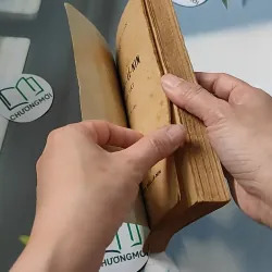 [XƯA] Triết Học Mác - Lênin: Chủ Nghĩa Duy Vật Lịch Sử (1981) 776067