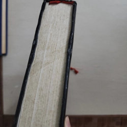 Sách Những kiệt tác văn chương thế giới của Trần Mạnh Thường 542973