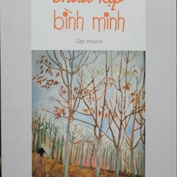 Chưa kịp bình minh - Triệu Từ Truyền (còn mới 85%) 363779