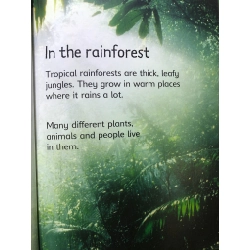 Rain Forests USBORNE BÌA CỨNG mới 85% Lucy Bowman HPB2707 NGOẠI VĂN 192219