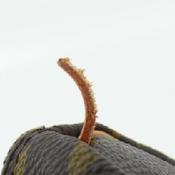 【Vintage】Túi xách Boston Louis Vuitton Monogram Mini Speedy M41534 614223