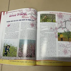 Sản phẩm Làng nghề thủ công mỹ nghệ truyền thống và đặc sản Ninh Binh (c) 728327