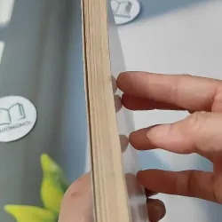 Con Đường Hạnh Phúc - BS Victor Pauchet 727257