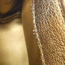 【Vintage】Túi Salvatore Ferragamo 21 6942 616607