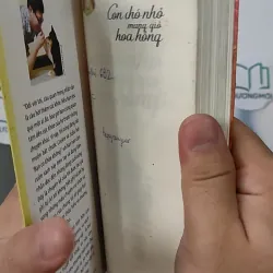 Con Chó Nhỏ Mang Giỏ Hoa Hồng - Nguyễn Nhật Ánh 798348