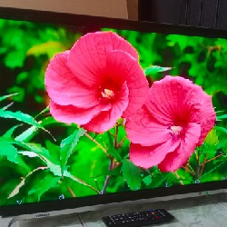 [Tivi wifi 32" Toshiba Bao Bền &  Phụ kiện đầy đủ] Thanh Lý 17424