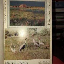 Đồng Tháp điểm hẹn du lịch  993271