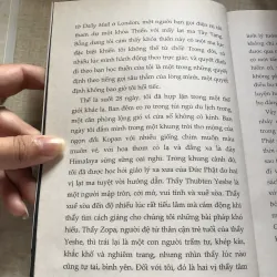 Tái sinh ở Phương Tây 993285