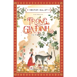 Trong gia đình 135k (HH) Mới 100% HCM.PO Độc quyền - Văn học, tiểu thuyết 345403