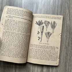 📖 Giới thực vật trong lịch sử trái đất 719242