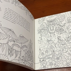 PICTURE BOOK Ivy and the inky butterfly 536315