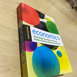 Economics -David Begg Kinh tế học chuẩn đẹp 479721