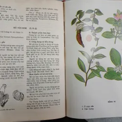 NHỮNG CÂY THUỐC VÀ VỊ THUỐC VIỆT NAM 682769