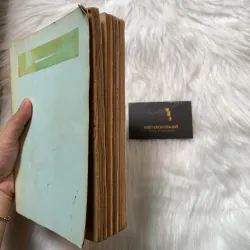 Văn hoá Việt Nam tổng hợp 1989 – 1995 (Memento) 790330