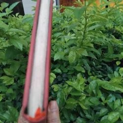 Robinson Crusoe của Daniel Defoe 974356