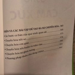 sách Cảm xúc - chuyển hóa nỗi sợ hãi, giận dữ và ghen tuông thành năng lượng sáng tạo 297507