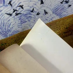 Chọn Lựa - Trương Bình 926360