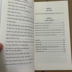 Mindfulness cho người mới bắt đầu 477697