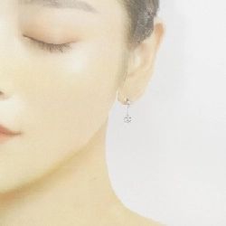 Bông tai kim cương hoa PT900 0.40CT - Hàng hiệu Chính hãng 868293