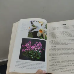 Kỹ Thuật Nuôi Trồng Phong Lan - Trần Văn Bảo 588687