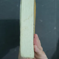 "Trâm tập 4: Chim liền cành" - Châu Văn Văn 497222