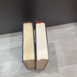 Meo Hoang của tác giả Đinh Măc 501488