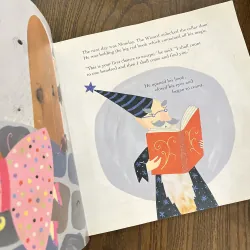 The Princess and the Wizard 973616