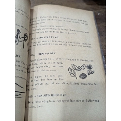 Trò chơi - Trần Văn Thao 1003583