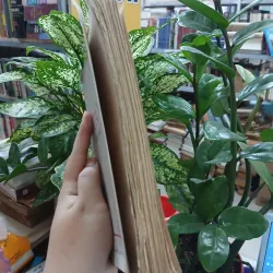 TẢN ĐÀ KHỐI MÂU THUẪN LỚN - TẦM DƯƠNG 1045508